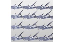 China Anping TLWY Razor Sharp Fence Security Spikes Thickness 2mm supplier