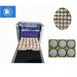 Semi - Auto Egg Stamping Equipment Low Maintenance Cost One Year Warranty for sale