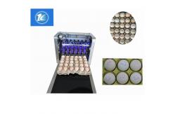 China 12V 4A Whole Disk Egg Expiry Date Stamp Machine With Software Easy Operation supplier