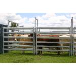 China Used Cattle Yards For Sale Cattle Yard Fence Heavy Duty 6 Oval 1.6mm thick 1.8Mx2.1M manufacturer
