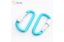 China Snap Quick Hang Hooks Keychain Metal Accessories , D Ring Shape Locking Carabiners supplier