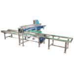 Intelligent Full Automatic Tray Arranging Machine 220V 50HZ Accessory Machine for sale