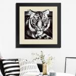 Customised 3D Lenticular Pictures 40x40cm Animal Images