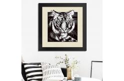 China Customised 3D Lenticular Pictures 40x40cm Animal Images supplier