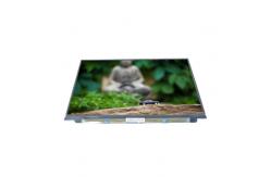 China LT131EE11000 13.1 inch 262K LVDS LCD Screen panel supplier