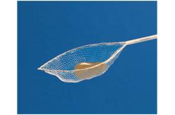China Disposable Grasping Forceps Foreign Body Forceps with Retrieval Net Basket supplier