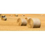 Customized Round Bale Net Wrap 1.25X2000m Bale Wrap Net 8gsm - 10gsm