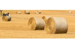 China Customized Round Bale Net Wrap 1.25X2000m Bale Wrap Net 8gsm - 10gsm supplier