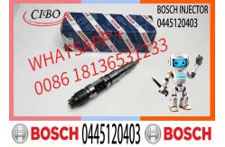 China High Quality Diesel Engine Fuel Common Rail Injector 0445120399 0445120400 0445120403 supplier