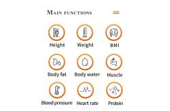 China Automatically Height Weight Bmi Blood Pressure Machine Intelligently Body Fat Calculator Scale supplier