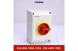 China 80A 4P IP65 Electric Isolator Switch Changeover Control Components supplier