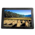 10.1 INCH 1280*800 149PPI B101EAN01.7 34 pins LCD SCREEN for sale