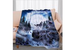 China Machine Weaved Printing Polyester Fleece Blanket For All Season supplier