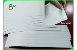 China Durable Tear Resistant Paper Matte PP Synthetic 200um For Promotion Posters supplier