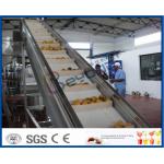 2TPH ~ 20TPH SUS304 Mango Processing Line With 2kg Cans Filling Machine for sale