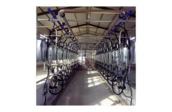 China SS304 Herringbone Milking Hall PVC pipeline Parallel Milking Parlor supplier