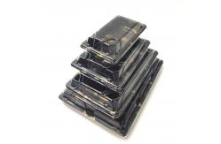 China Disposable PS Plastic Sushi Tray With Transparent Lid supplier