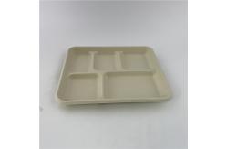 China Disposable Sugarcane Pulp Bagasse Paper Plate Biodegradable for Party / Wedding supplier