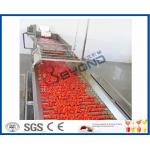 Fruit Processing Tomato Juicer Machine , Electric Tomato Juicer Process Plant And Machinery for sale