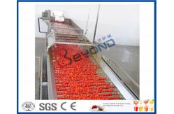 China Fruit Processing Tomato Juicer Machine , Electric Tomato Juicer Process Plant And Machinery supplier