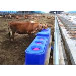 Contiuous Flow Automatic Plastic Cattle Drinking Troughs For Drinking Trough Rotomolding