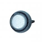 ATEX 100W Class 1 Div 2 Explosion Proof Lamp LED Explosion-proof Lights Fixture for sale