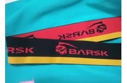 China Custom Nylon Spandex Embossed Underwear Jacquard Non Elastic Cord Waistband supplier