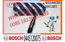 China Diesel Engine Common Rail Injector Assembly 0445120075 supplier
