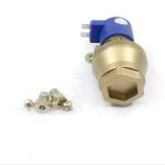 Solenoid Valve Integrated LPG CNG Filter Bronze With Straight Gas Channel for sale