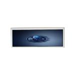 S231AJ1-LE2 Rev.B4 23.1 inch 1920*158 LCD Panel Display for sale