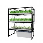 Custom Hydroponic Grow Rack Indoor Vertical Farms For Leafy Green for sale