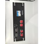 51.2V 100A Lithium Iron Phosphate Energy Storage System Container Battery