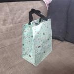 Light Green Fashionable Reusable Shopping Bags Women Canvas Tote Bags For School for sale
