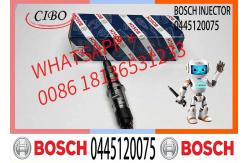 China Diesel Engine Common Rail Injector Assembly 0445120075 supplier