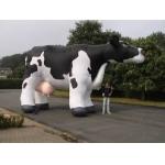 Cow helium balloon for sale