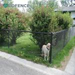 Hot Dip Galvanized Steel Studded T Post 6ft Metal For Animal Fence for sale