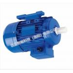 Permanent Magnet Synchronous Motor - Engineering Solutions for sale