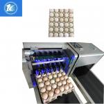 Quick Dry Cartridge Expiry Date Egg Marking Equipment / Egg Stamping Machine With 6 Print Nozzle for sale