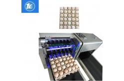 China Purple Ink Multiple Lines and Provided Service Eggs Inkjet Printer supplier