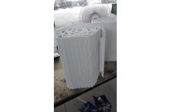 China                  Food Grade Plastic Modular Noodle Conveyor Chain Belt for Packing Machine              supplier