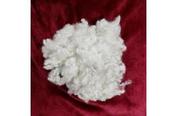 China White Acrylic Staple Fibre Hollow Conjugated Siliconized Polyester Fiber supplier
