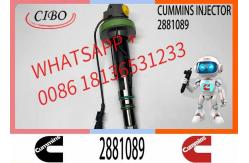 China Diesel Engine Parts K19 QSK19 QSK Engine Fuel Injector 2882130 2881089 supplier