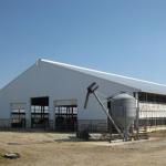 Durable Steel Structure Cow Shed Fire Resistant Long Lasting Metal Livestock Shed for sale