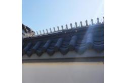 China Length 1.25m Fence Security Spikes Iron Wire Anti Climb Wall Spikes supplier