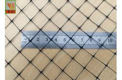 China Agricultural Plastic Anti Mole Netting , BOP Black Bird Control Netting supplier