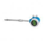 E+H/ Endeshaus Thermal Gas Mass Flowmeter 6BABL2 6BABL3 Integrated Insertion Type for sale