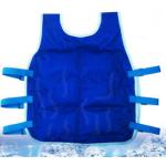 Customized Personal Cooling Vest For Athletes Dogs Clothing Approach