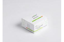China ICU PCT Interleukin 6 Test Kit 2-4000pg/ML 15min Procalcitonin Rapid Test supplier