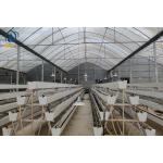 Farm Vertical PVC NFT Gully Planting Troughs Agriculture Vegetable Growing Trough for sale