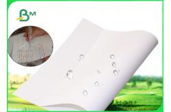 China White Stone Paper For Notebook Tear Resistant Recyclable 144gsm 168gsm supplier